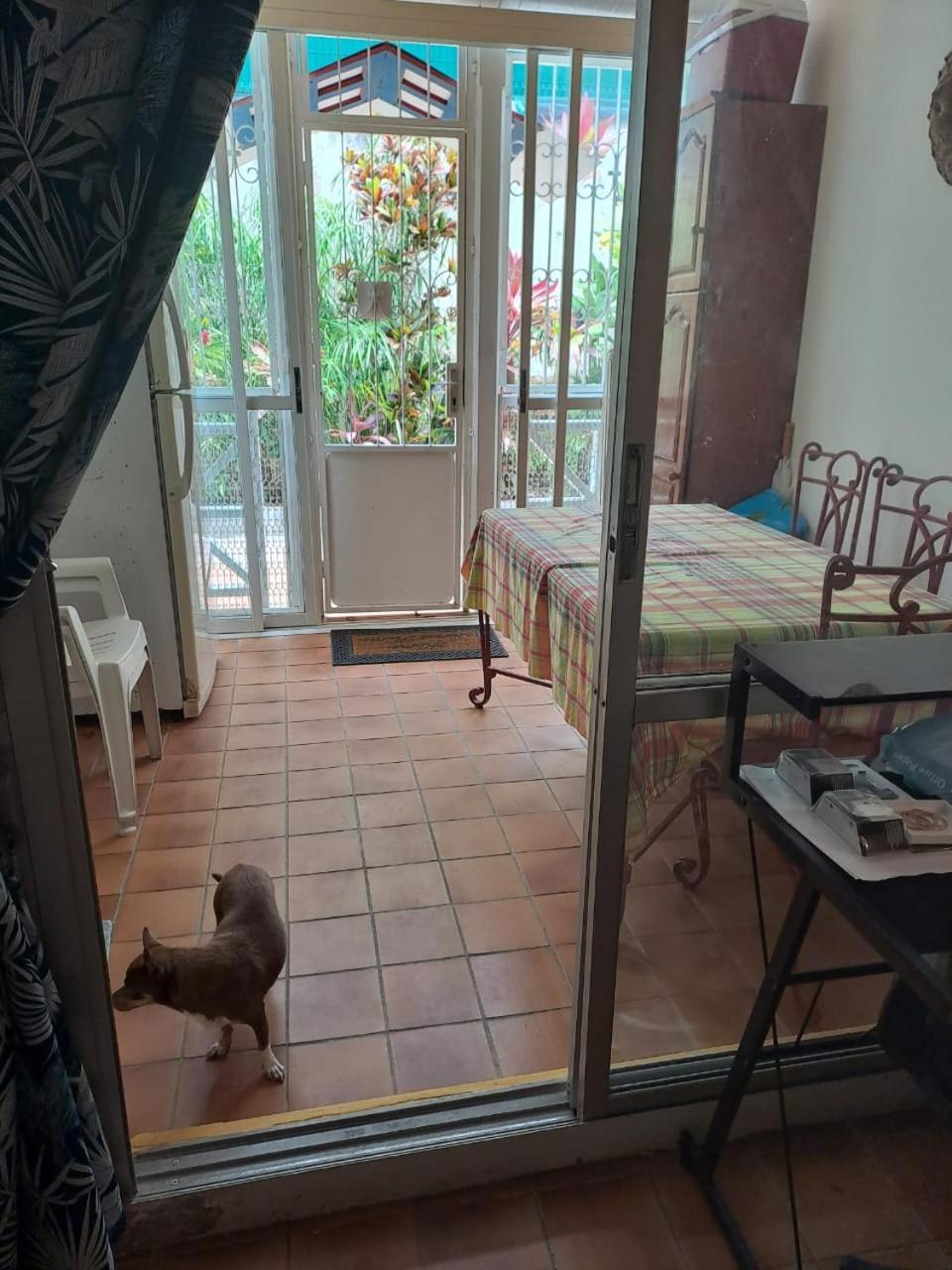 Appartement T2 meublé tout confort Le Gosier  Exterior foto